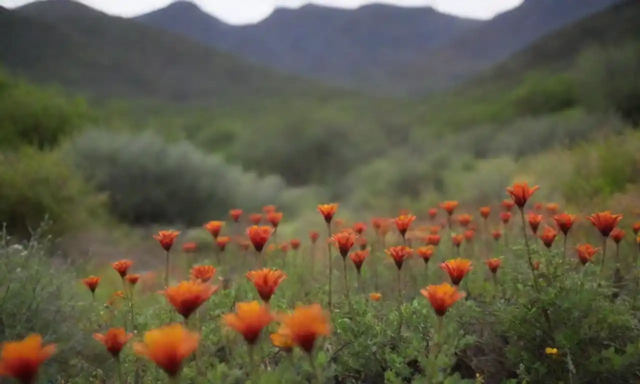 Cerca de plantas endémicas únicas rodeadas de paisajes del parque.