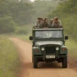 Los turistas que observan la vida silvestre de un jeep safari en medio de una vegetación exuberante.