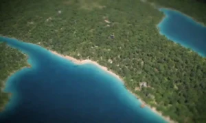 Mapa destacando los destinos de viaje ecológicos rodeados de vegetación.