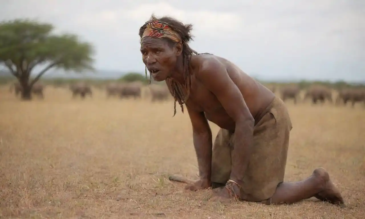 Visita guiada de safari con tradiciones locales y prácticas indígenas mostradas por una guía con conocimiento.
