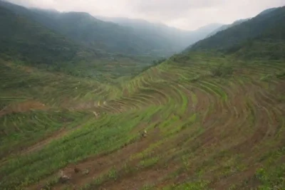 Los agricultores cultivan campos adosados en un paisaje montañoso con diversos cultivos.