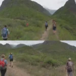 Un collage de tour operadores naturales que muestran actividades como senderismo