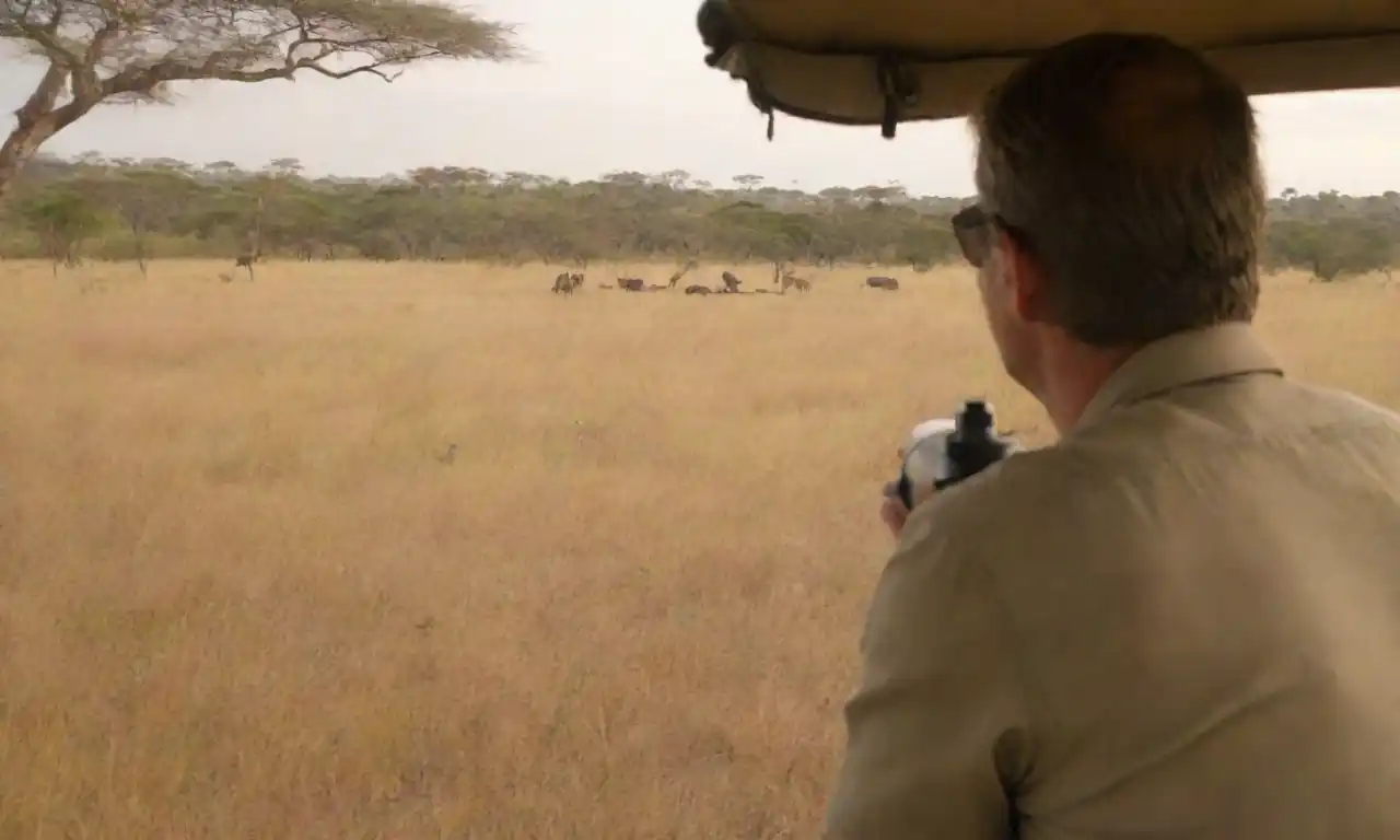 Los turistas inmersos en la vida silvestre, capturando momentos de asombro y conexión con la naturaleza en un safari auténtico.