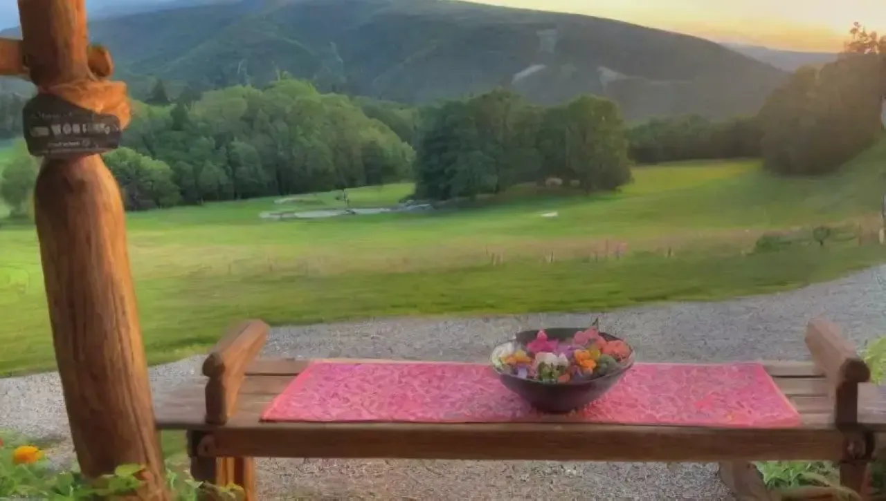 Un refugio sereno lleno de naturaleza, confort y bienestar