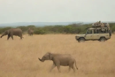Grupo de turistas observando salvajes en un safari