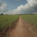 Turista observando la naturaleza mientras ignora señales de advertencia sobre el respeto al medio ambiente.