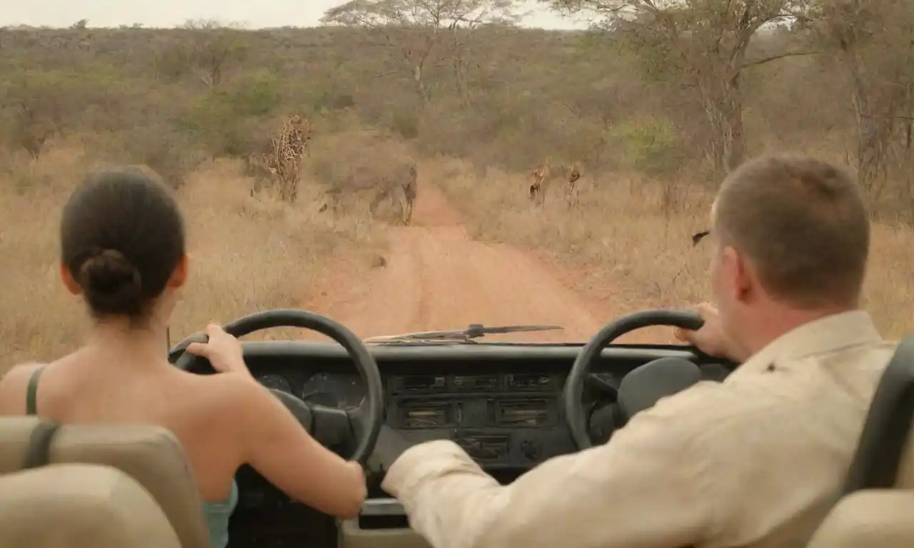 Grupo de turistas observando la fauna desde un vehículo de safari con expresiones de asombro.