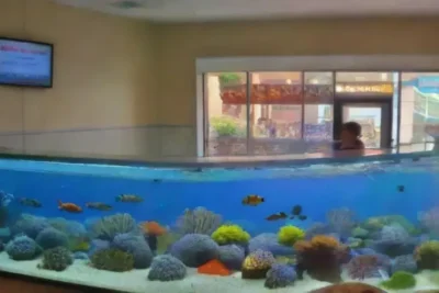 Un acuario vibrante lleno de vida marina