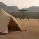 Tienda de lujo en un impresionante paisaje safari
