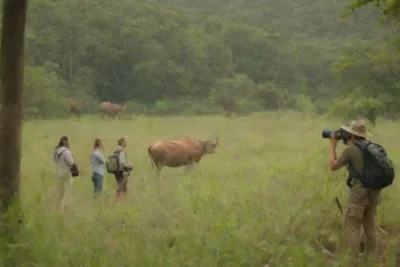 Los turistas que observan la vida silvestre en un exuberante paisaje natural durante un safari ecoturismo.