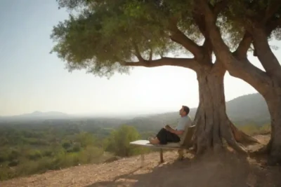 Montañista tomando un descanso bajo un árbol