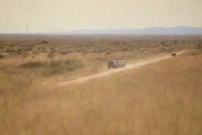 Un vehículo safari navegando por un paisaje con fauna diversa