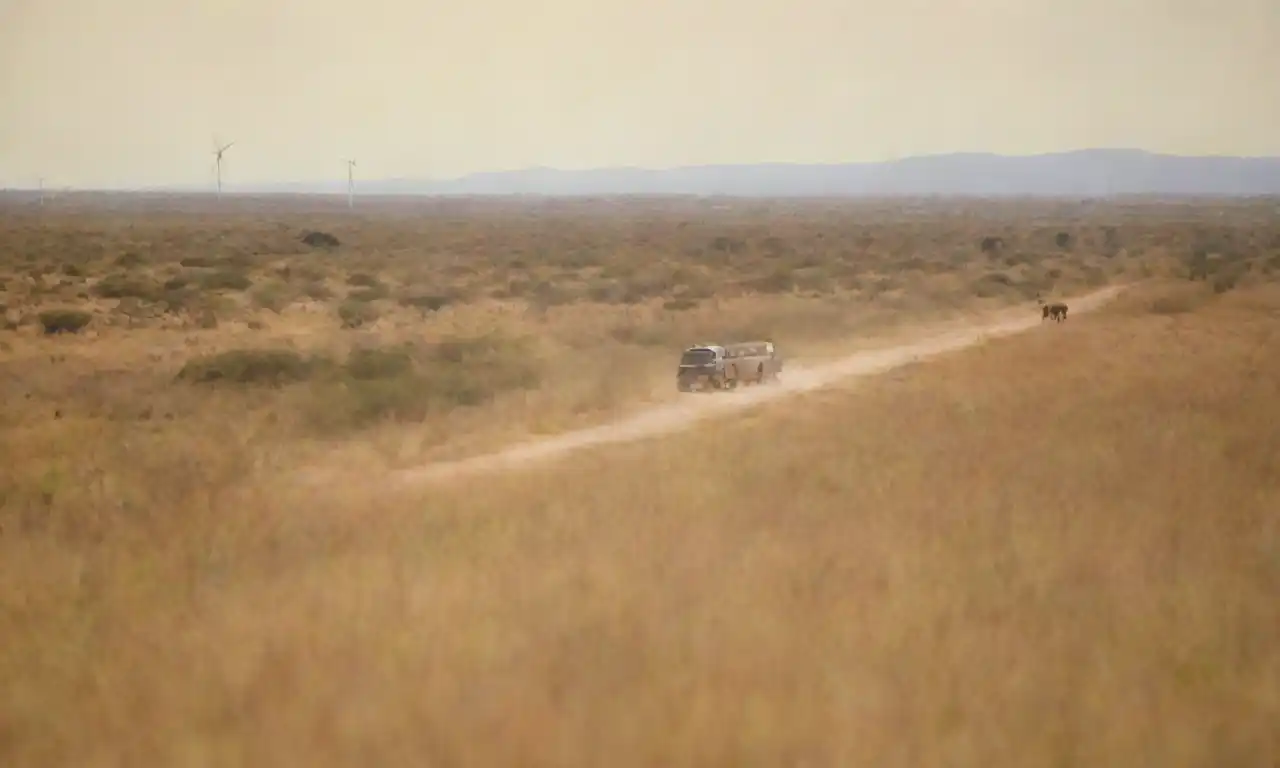 Un vehículo safari navegando por un paisaje con fauna diversa