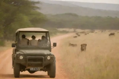 Persona observando la fauna de un vehículo safari en un paisaje exuberante y abierto.