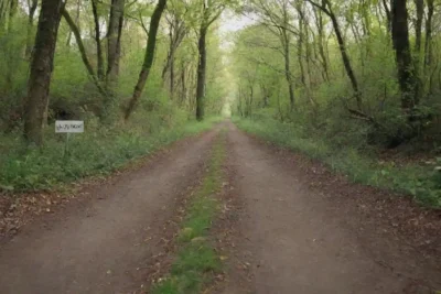 Sendero pintoresco marcado para principiantes