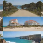 Collage of vibrant museums near a sunny beach