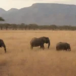 Artistas pintando escenas de vida silvestre en medio del vibrante paisaje de un safari.