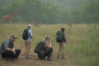 Un pequeño grupo de ecoturistas que observan la vida silvestre respetuosamente en un hábitat natural.