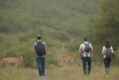 Grupo de turistas observando fauna en su hábitat natural