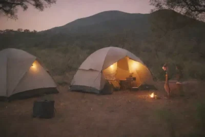 Una guía ilustrada que muestra una experiencia safari ligera con campistas y fauna silvestre en un entorno natural.