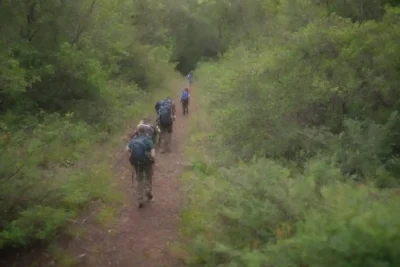 Un mapa de senderos en un parque con excursionistas explorando el exuberante paisaje.