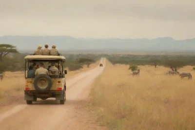 Los turistas que observan la vida silvestre de un vehículo safari en medio de un paisaje pintoresco.