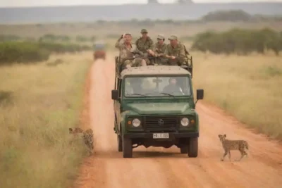 Grupo de turistas que observan fauna silvestre de un vehículo safari en una reserva natural vibrante.