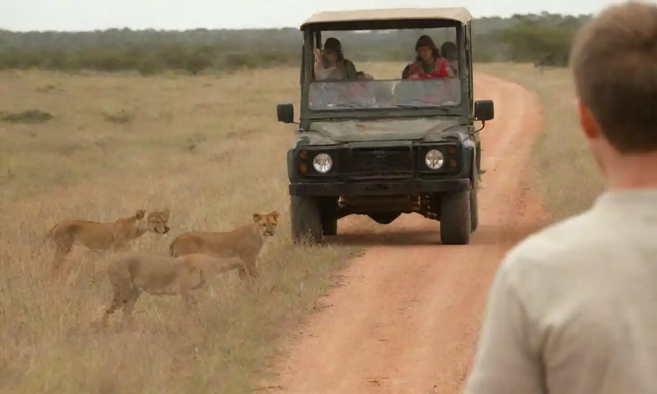 Grupo de turistas observando animales salvajes desde un vehículo en un safari.